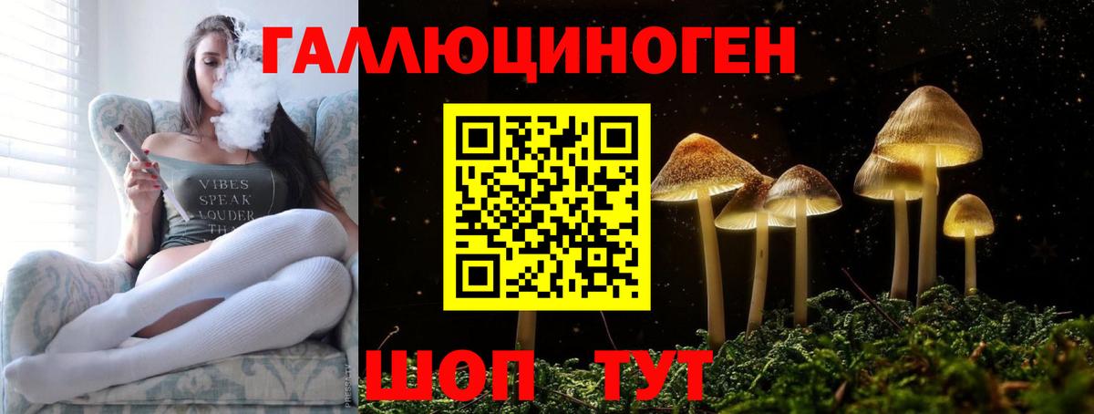 Псилоцибиновые грибы Psilocybine cubensis Соликамск