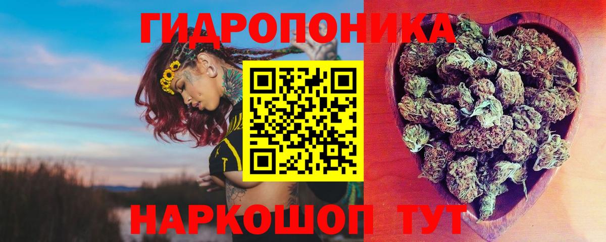 Шишки марихуана семена  Вход с VPN  Соликамск  Бошки Шишки тримм  Бошки Шишки планчик  МАРИХУАНА Amnesia 